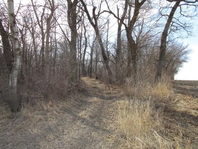 TBD 480th St, Pine Island, MN 55963 - photo 2