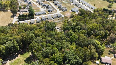 DJI_20240920133411_0019_D