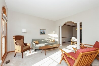 4712 Fesseneva Ln, Naperville, IL 60564 - photo 3