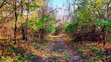 0 Homestead Dr unit 11611647, New Concord, OH 43762 - photo 3