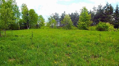 93 Fairway Rd unit 6, Northfield, VT 05663 - photo 5