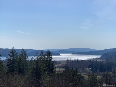 432 Elkhound Pass Rd, Quilcene, WA 98376 - photo 2