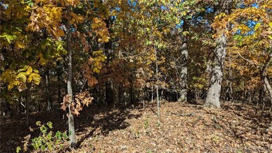 Woods