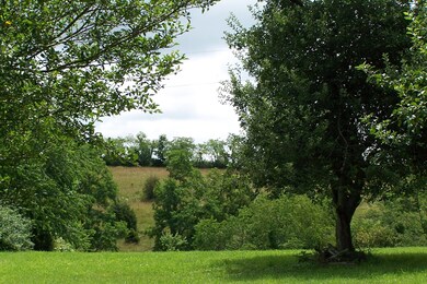 Pasture Views