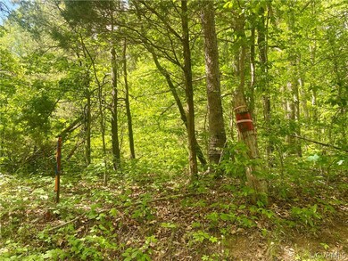 View of nature