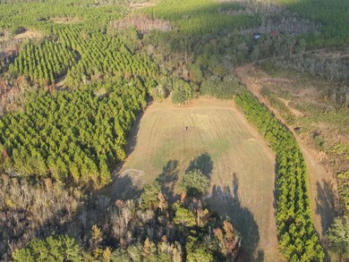 5150 Cr 405, Branford, FL 32008 - photo 6