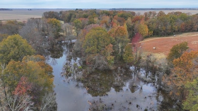 00 Eoff-Conder Rd, Des Arc, AR 72040 - photo 3