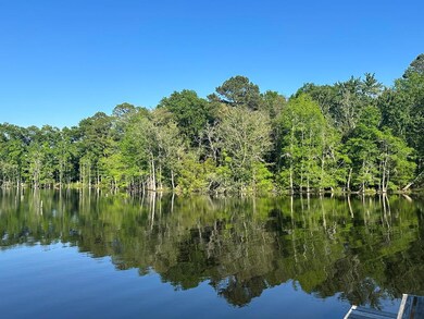 2560 Ga Highway 32 W, Douglas, GA 31533 - photo 2