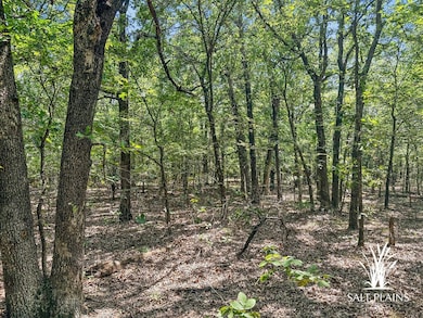 0 Brooken Mt Rd, Stigler, OK 74462 - photo 7