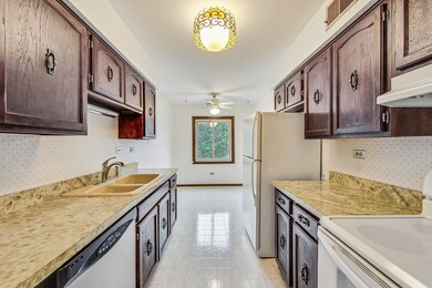 1525 E Thacker St unit 2E, Des Plaines, IL 60016 - photo 5