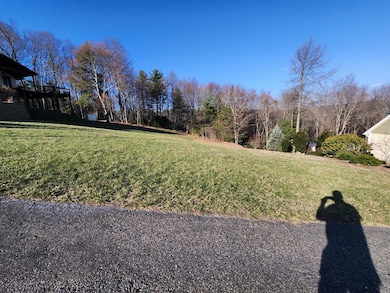 TBD Alpine Way, Fancy Gap, VA 24328 - photo 2