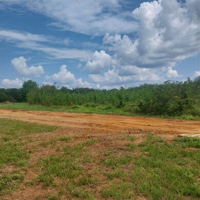 1085 Deen Point Rd, Benton, LA 71006 - photo 4