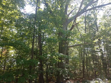 IMG_20180914_152830405