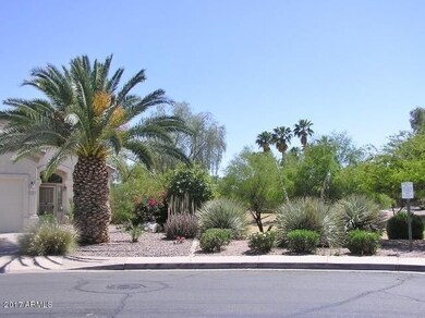WEST SIDE YARD & COMMON AREA