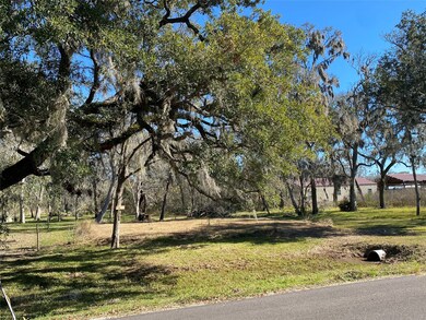 0 River Bend Dr unit 69791859, Brazoria, TX 77422 - photo 3