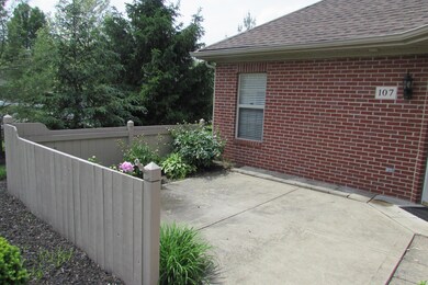 107 Potters Shed Dr unit 9107, Reynoldsburg, OH 43068 - photo 4