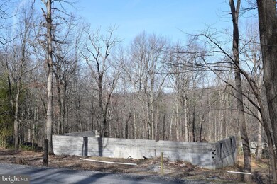 0 Mountain Lake Dr, Shenandoah, VA 22630 - photo 2
