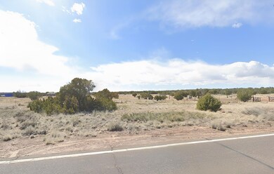 N7464, Saint Johns, AZ 85936 - photo 2