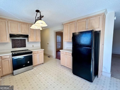 39 Paradise Lake Rd, Tifton, GA 31794 - photo 5