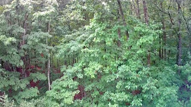 IMG_20250709_1704032