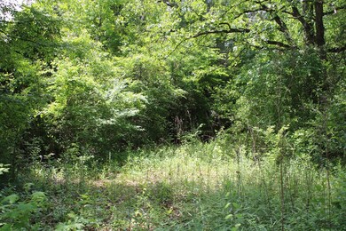 0 Fm 2497 unit 62476, Hudson, TX 75904 - photo 6