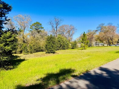 1608 Valentine Ave, Albany, GA 31705 - photo 3