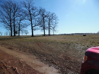 Xxxx Farm Road 1078, Butterfield Township, MO 65625 - photo 2