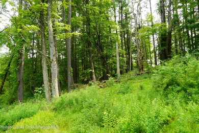 DSC00509