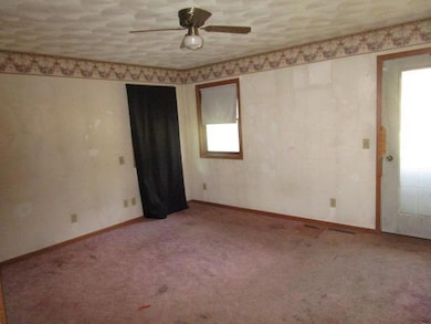 206 N Central Ave, Truman, MN 56088 - photo 3