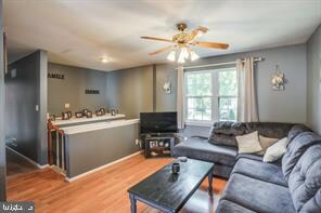 31 Julie Ln, Newark, DE 19711 - photo 6