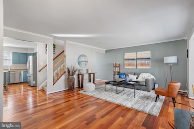 4609 John St, Suitland, MD 20746 - photo 3