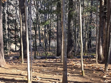 31 Sand Rd, Naples, ME 04055 - photo 3