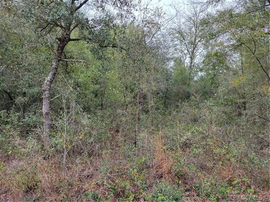 TBD SW Gering Blk 3 Lot 31 Ct, Dunnellon, FL 34432 - photo 6