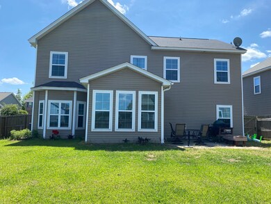 Back yard 2