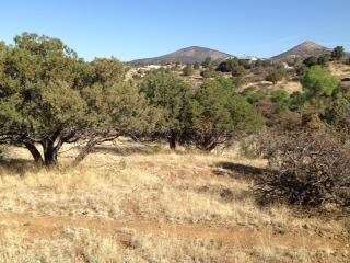 xx Arrowhead Rd, Silver City, NM 88061 - photo 5