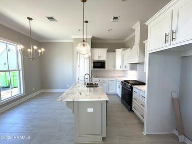 204 Keystone Dr, Church Point, LA 70525 - photo 4