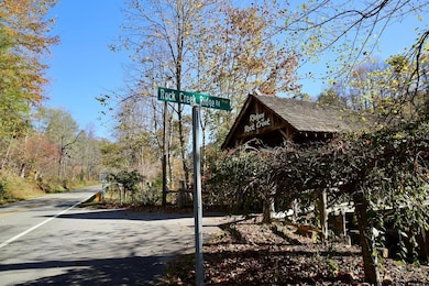 Rock Creek Ridge Rd, Bakersville, NC 28705 - photo 5