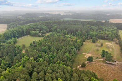 403 Chatham View Rd, Ramseur, NC 27316 - photo 4