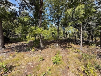 0 Pine St unit 50 5060731, Hopkinton, NH 03229 - photo 2