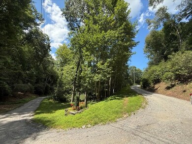 0 Ivy Ridge unit 26041961, Sylva, NC 28779 - photo 5