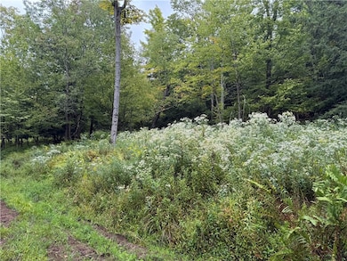 0 Alma Hill Rd unit R1637531, Alma, NY 14895 - photo 5