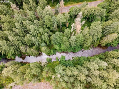 0 Sharps Creek Rd, Dorena, OR 97434 - photo 4
