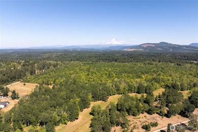 0 173rd Ave SE unit NWM2442565, Yelm, WA 98597 - photo 6