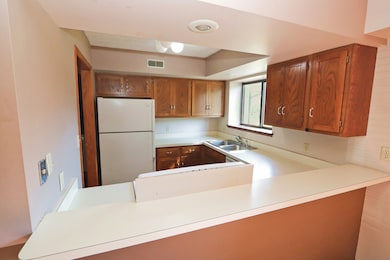 unlisted-address, Morris, IL 60450 - photo 7