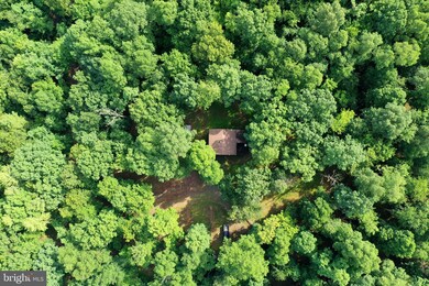 751 Levels View Rd, Paw Paw, WV 25434 - photo 4