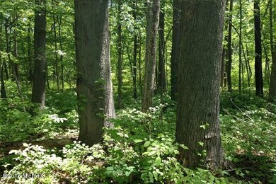 2 Mature Hardwoods(a)-WR