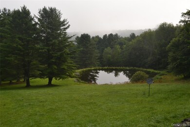 365 Via Appian Way, Roscoe, NY 12776 - photo 6