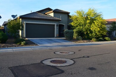 Front House
