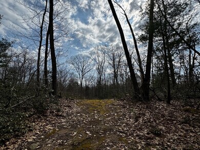 355 Leadmine Rd, Sturbridge, MA 01518 - photo 5