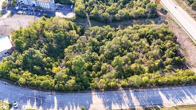 000 Expressway unit Lot 6, Branson, MO 65616 - photo 3